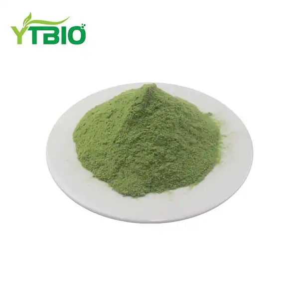 Sourcing High-Sulforaphane Organic Broccoli Powder Sourcing High-Sulforaphane Organic Broccoli Powder